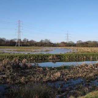 Staines Moor