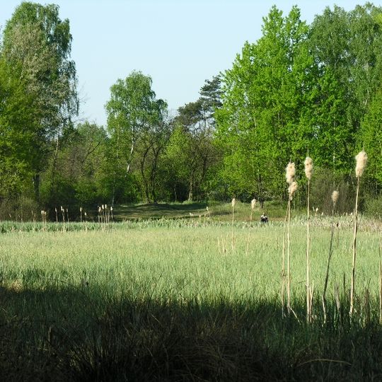 Bagno Jacka Nature Reserve