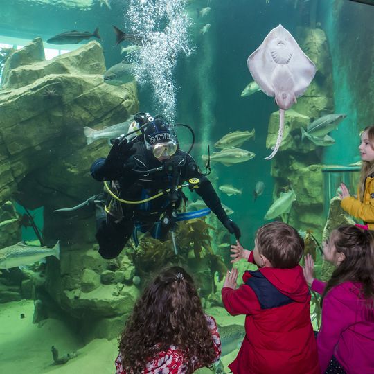 Macduff Marine Aquarium
