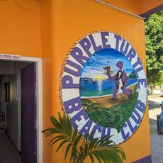 Purple Turtle Beach Club