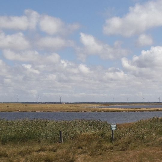 Naturpark Nissum Fjord