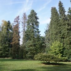 Zahrada Schnöblingovy vily