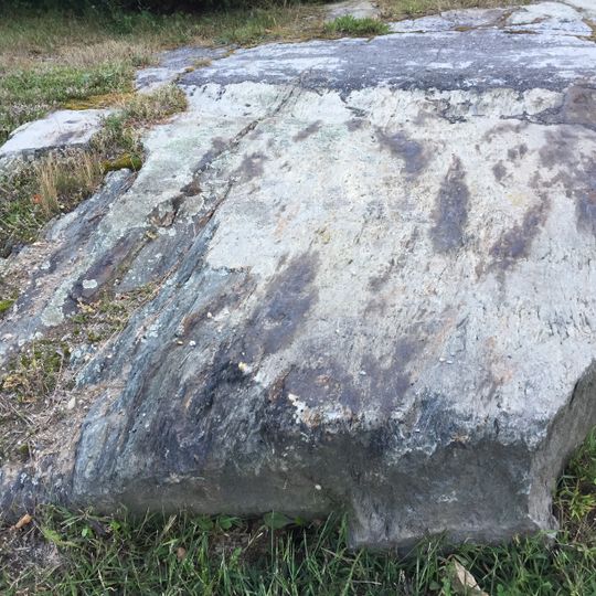 Agassiz Bedrock Outcrop