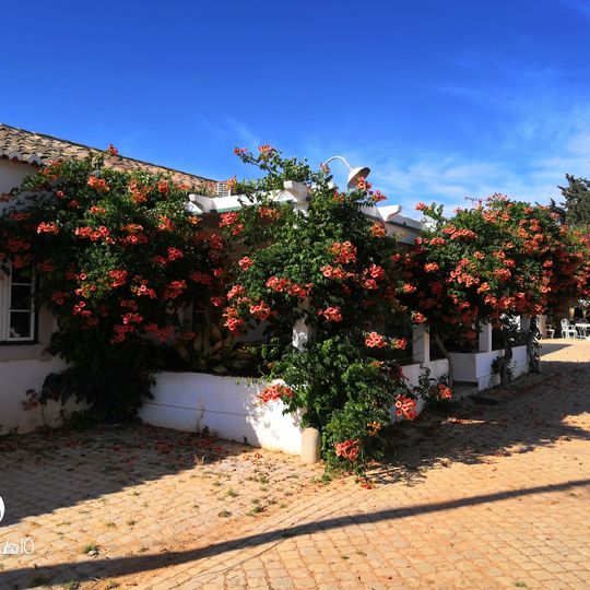 Maravilha Farms Quinta de Tavira