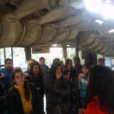 Museo de Historia Natural e Histórico de San Antonio