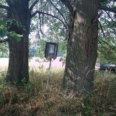 Obrázek východně od Milovanic