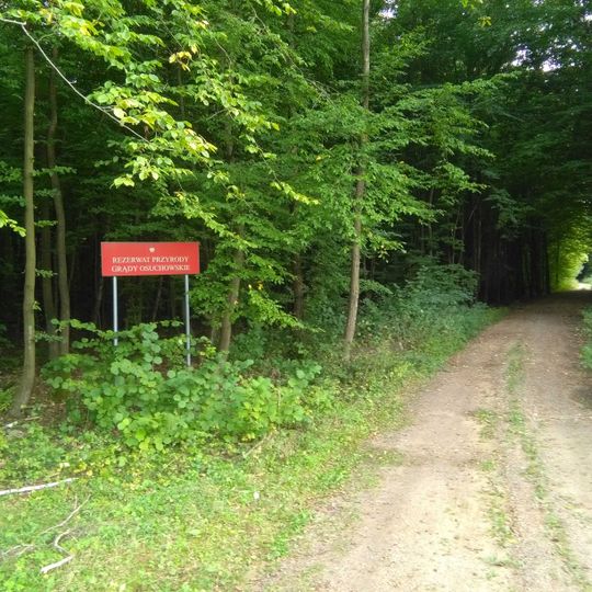 Rezerwat przyrody Grądy Osuchowskie