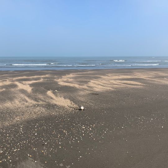 Guanyin Haishui Yuchang