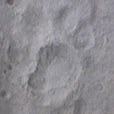 Réserve de tigres de Dudhwa