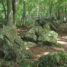 Allée couverte de la Petite Roche