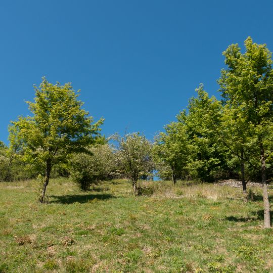 LSG Gaffelntal und Kiepenberg