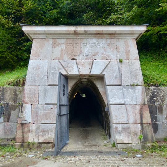 Moserrösche beim Salzbergwerk Berchtesgaden