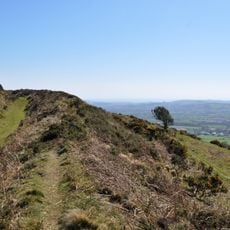 Pilsdon Pen hillfort and associated remains