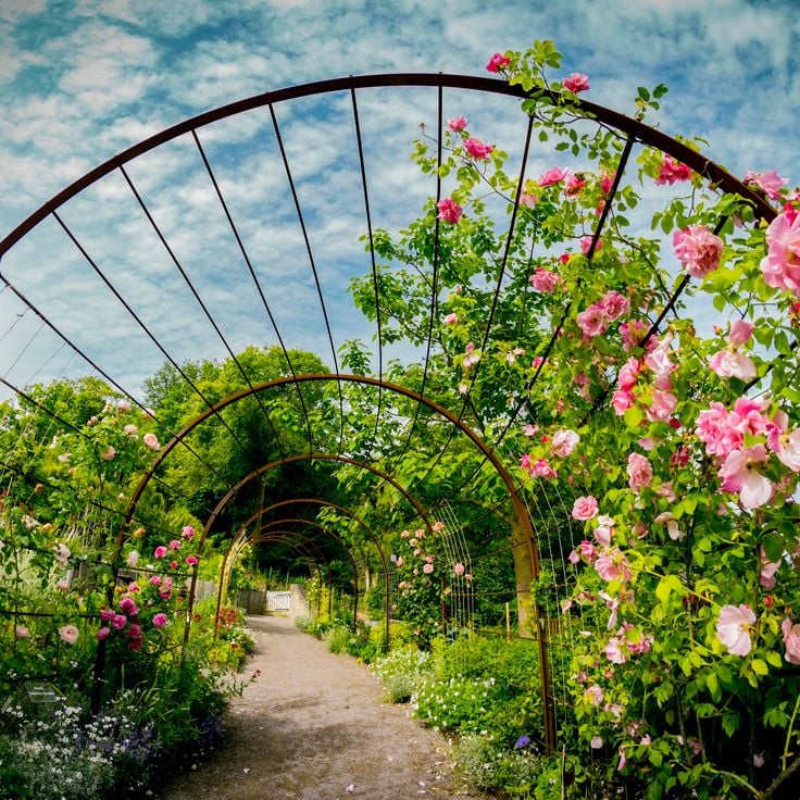 Musée Louis Braille