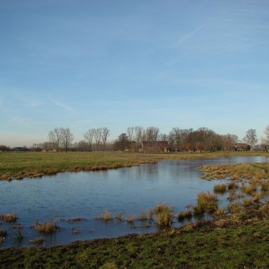 Punto di vista panoramico