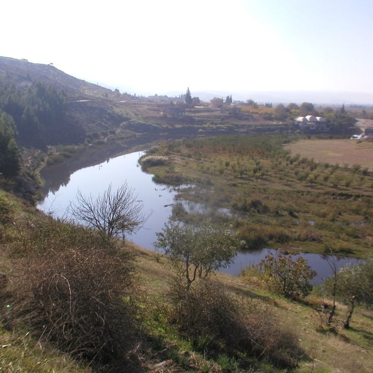 Moschea degli Omayyadi