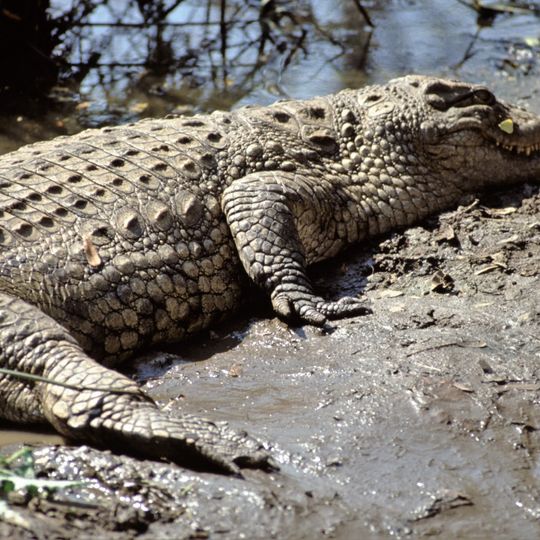 Zambezi Nature Sanctuary
