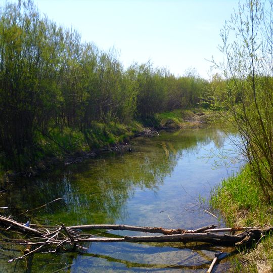 Isarauen zwischen Schäftlarn und Bad Tölz