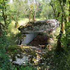 Dolmen de Joncas