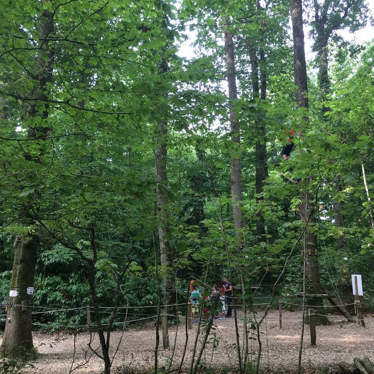 Acrocime Forest Park