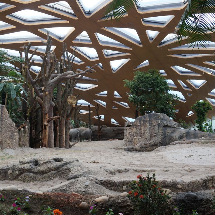 Zürich Zoologischer Garten