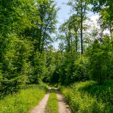 Naturschutzgebiet Emder Wald
