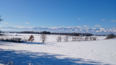 Winter 2