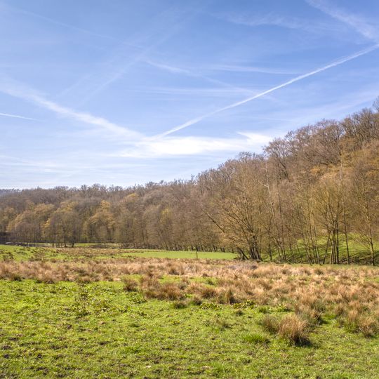 Naturwaldreservat Zwerchstück