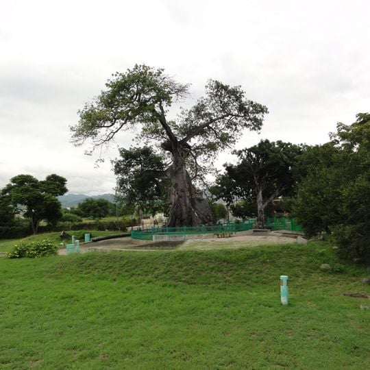 Parque de la Ceiba