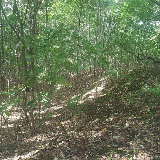 Roman Ridge: section 140yds long in Dyson's Plantation