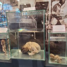 Surgical Instruments and Health Museum