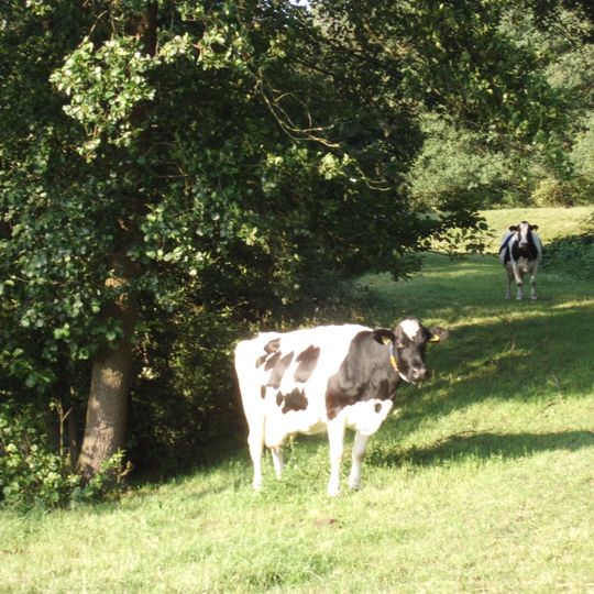 Battery on the Schalmdijk