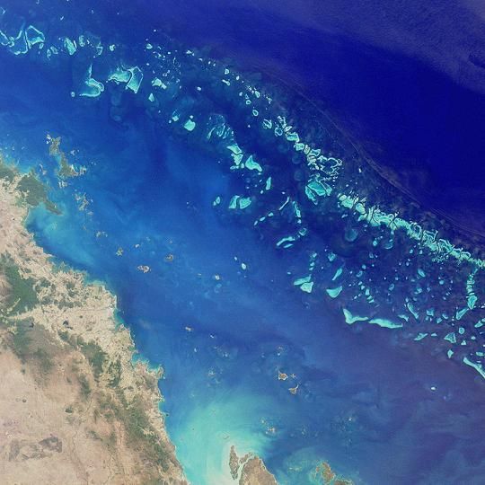 Lady Musgrave Island