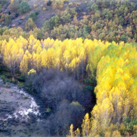 Valle del Tajuña en Torrecuadrada