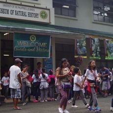 UPLB Museum of Natural History