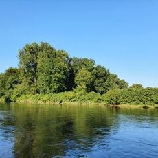 Biberschutzgebiet Mutzschener Wasser-Mulde