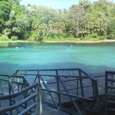 Rainbow Springs