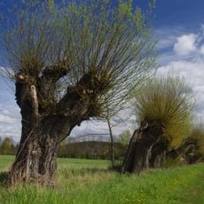 Mittlere Havel Ergänzung