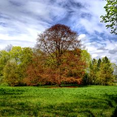 Castle park in Rájec nad Svitavou