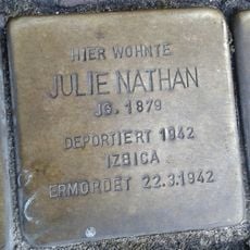 Julie Nathan