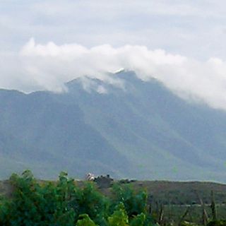 Cerro El Copey National Park
