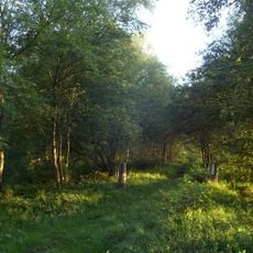 Gellener Torfmöörte mit Rockenmoor und Fuchsberg