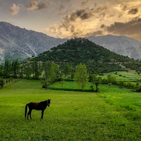 Provincia de Kahramanmaraş