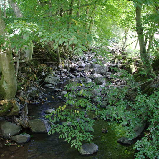 Schwadelsberg und Seiffertshain bei Marborn