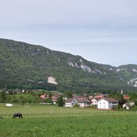 Lommiswil