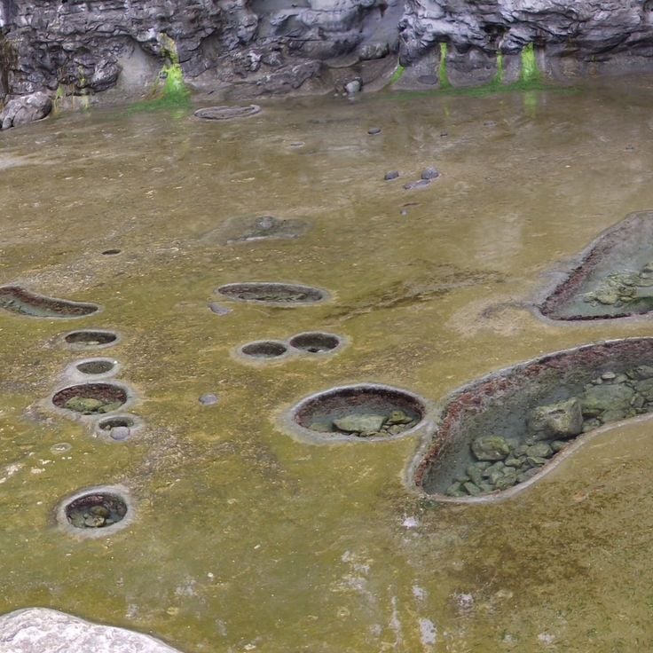 Botanical Beach Pools