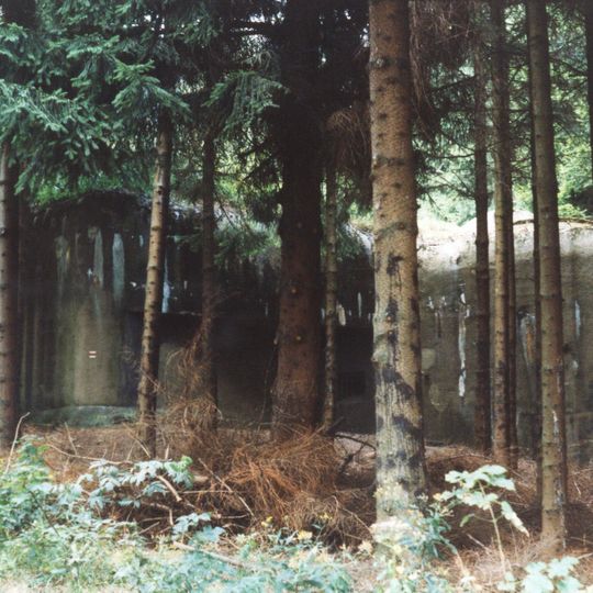 T-S 82 V končinách casemate