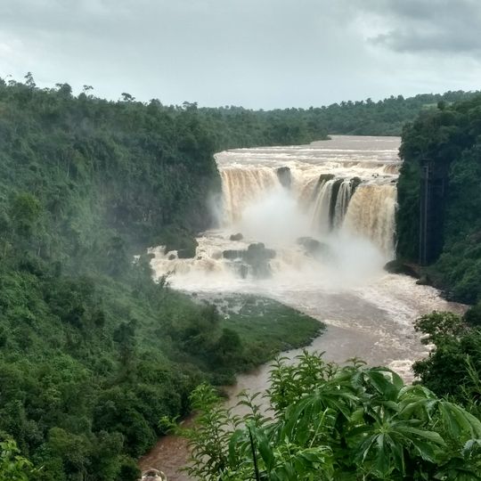 Alto Paraná Department