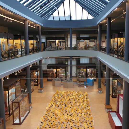 Musée d'histoire naturelle de Mons
