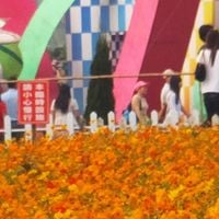 신서구
